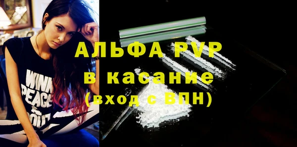 стаф Киренск