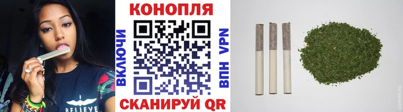 Бошки марихуана ГИДРОПОН  Купить где  Северская 